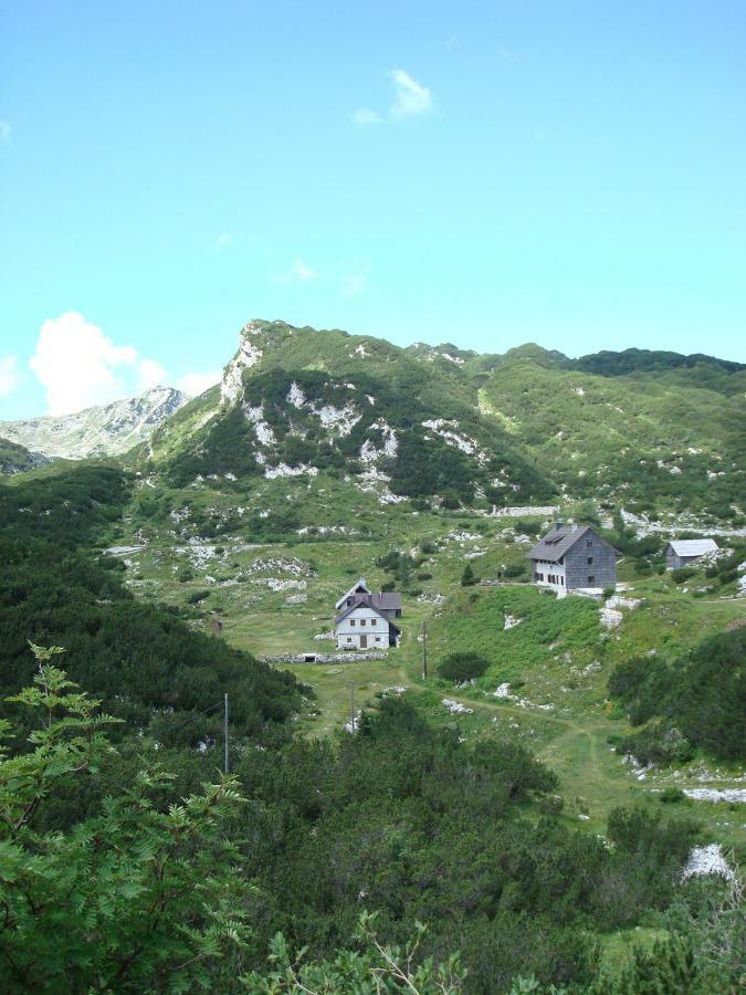 Apartment Amazing View 博希尼 外观 照片